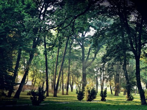 Ruszają kolejne inwestycje w naszej gminie - 4