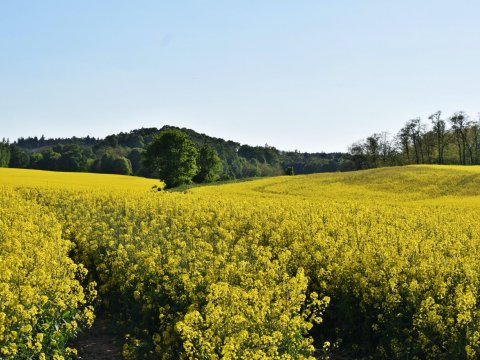 Ruszają kolejne inwestycje w naszej gminie - 5
