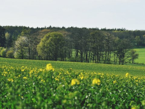 Ruszają kolejne inwestycje w naszej gminie - 2