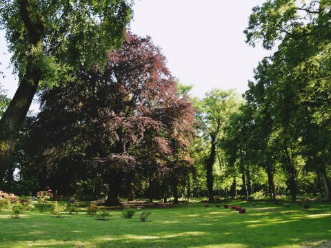 Ruszają kolejne inwestycje w naszej gminie - 3