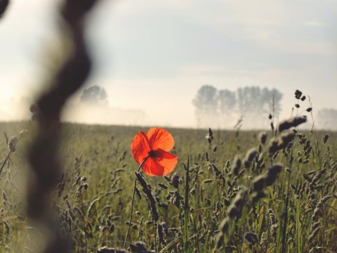 Ruszają kolejne inwestycje w naszej gminie - 8